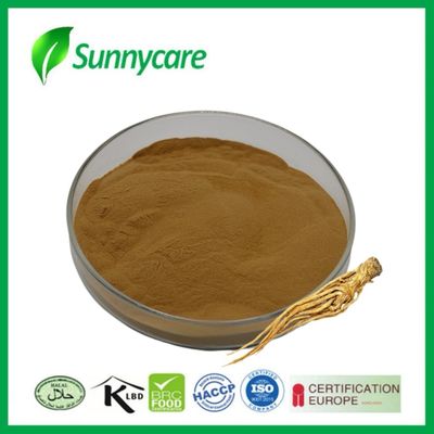 डोंग क्यूई रूट एक्सट्रैक्ट पाउडर एंजेलिका सिनेंसिस मासिक धर्म राहत दवा उद्योग